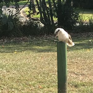 Meet your Posher, Monika